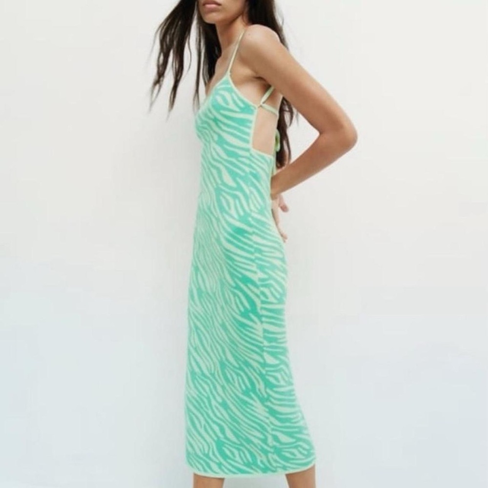 Mint Zebra Print Midi Dress